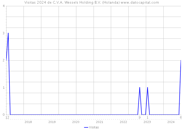 Visitas 2024 de C.V.A. Wessels Holding B.V. (Holanda) 