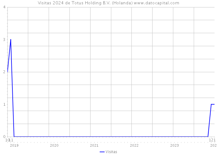 Visitas 2024 de Totus Holding B.V. (Holanda) 