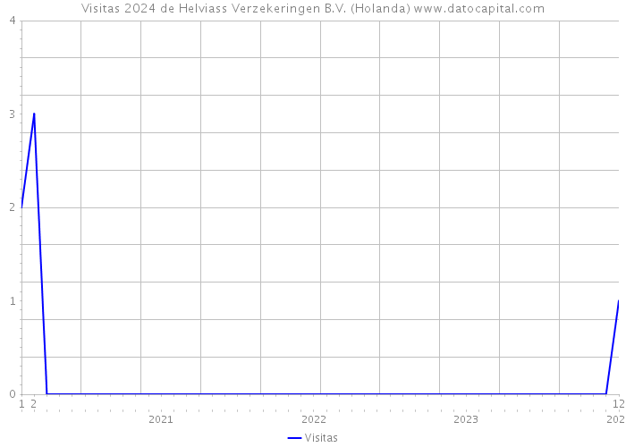 Visitas 2024 de Helviass Verzekeringen B.V. (Holanda) 