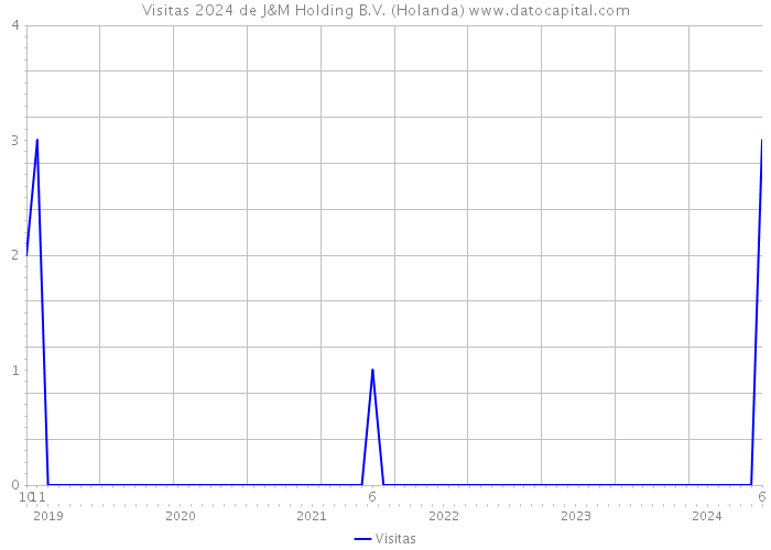 Visitas 2024 de J&M Holding B.V. (Holanda) 