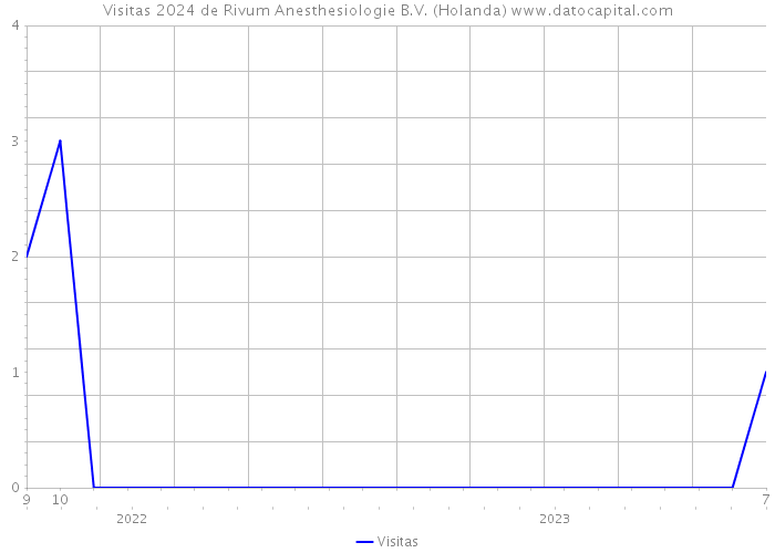 Visitas 2024 de Rivum Anesthesiologie B.V. (Holanda) 