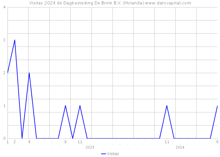 Visitas 2024 de Dagbesteding De Brink B.V. (Holanda) 