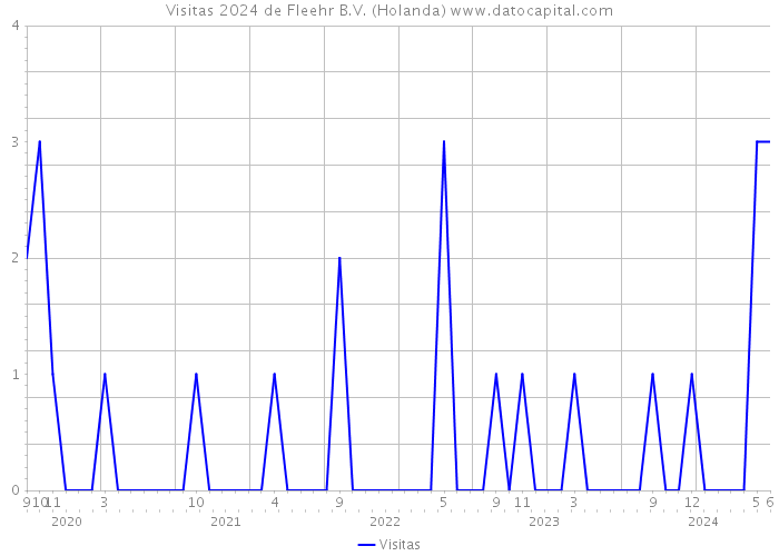 Visitas 2024 de Fleehr B.V. (Holanda) 