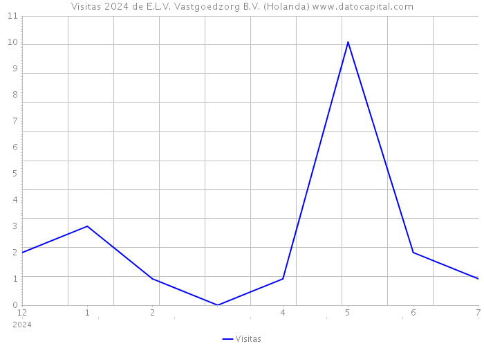 Visitas 2024 de E.L.V. Vastgoedzorg B.V. (Holanda) 