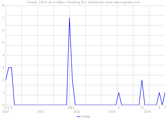 Visitas 2024 de A-Maxx Holding B.V. (Holanda) 