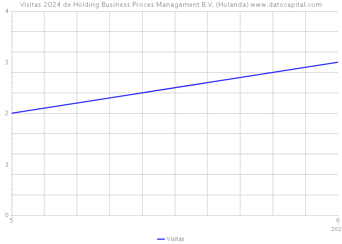 Visitas 2024 de Holding Business Proces Management B.V. (Holanda) 