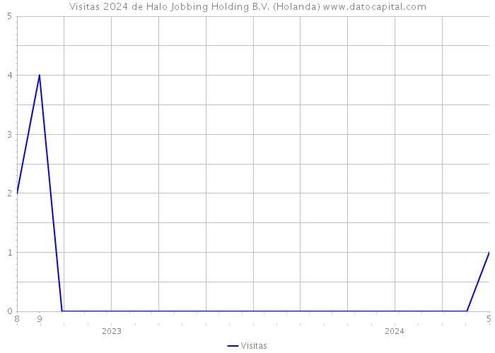 Visitas 2024 de Halo Jobbing Holding B.V. (Holanda) 