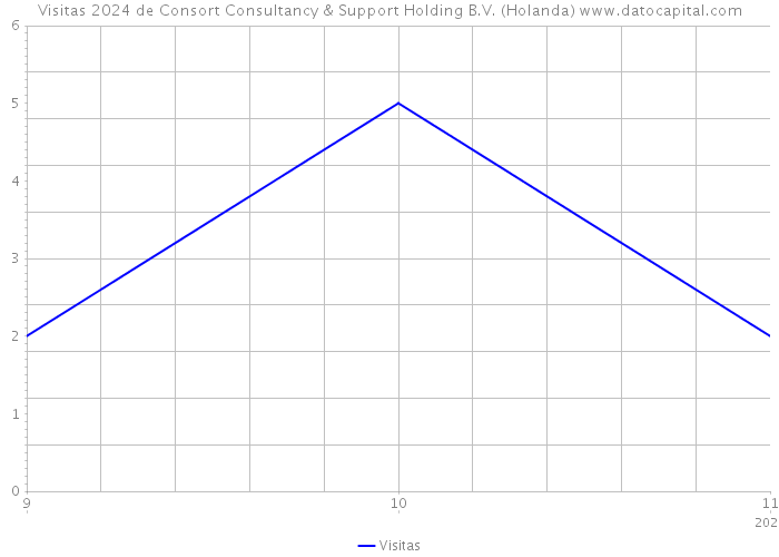 Visitas 2024 de Consort Consultancy & Support Holding B.V. (Holanda) 