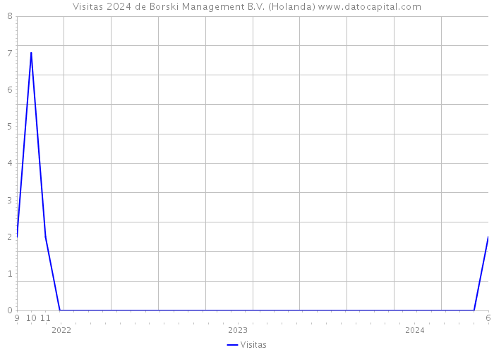 Visitas 2024 de Borski Management B.V. (Holanda) 