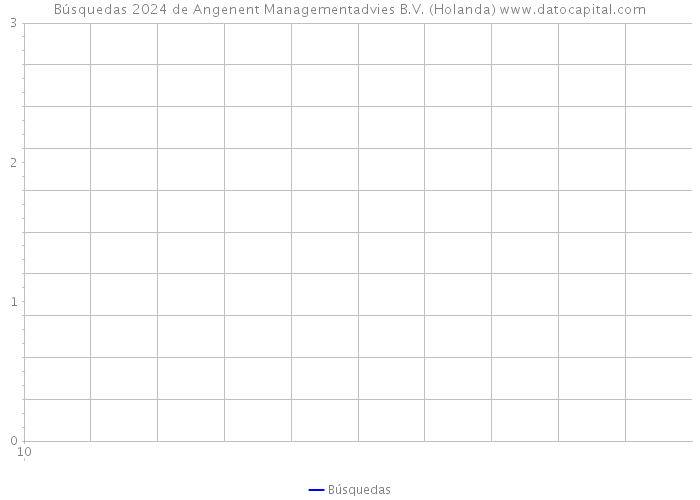 Búsquedas 2024 de Angenent Managementadvies B.V. (Holanda) 