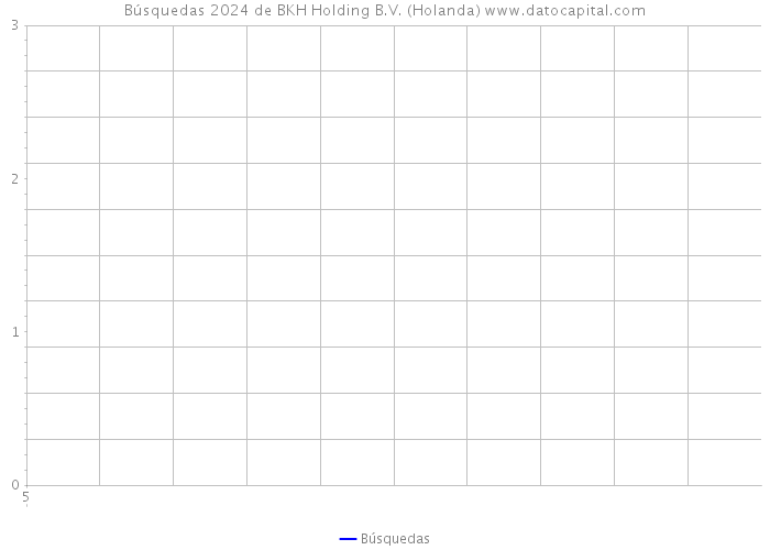 Búsquedas 2024 de BKH Holding B.V. (Holanda) 