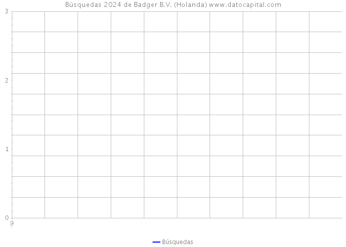 Búsquedas 2024 de Badger B.V. (Holanda) 