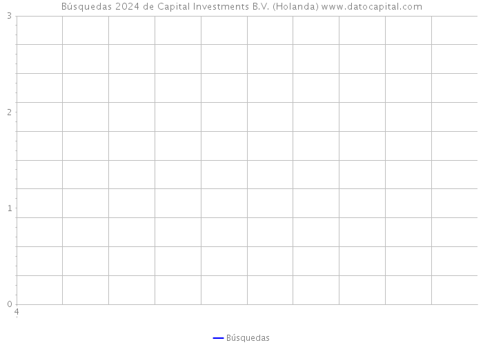 Búsquedas 2024 de Capital Investments B.V. (Holanda) 