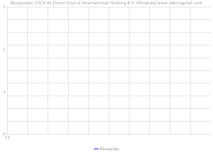 Búsquedas 2024 de Direct Source International Holding B.V. (Holanda) 