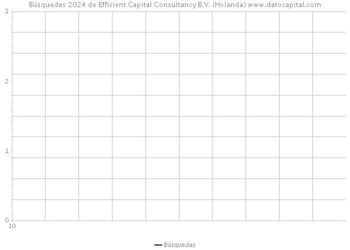 Búsquedas 2024 de Efficient Capital Consultancy B.V. (Holanda) 