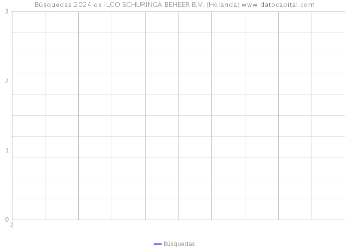 Búsquedas 2024 de ILCO SCHURINGA BEHEER B.V. (Holanda) 