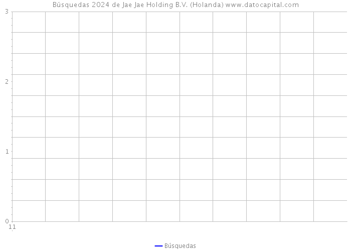Búsquedas 2024 de Jae Jae Holding B.V. (Holanda) 