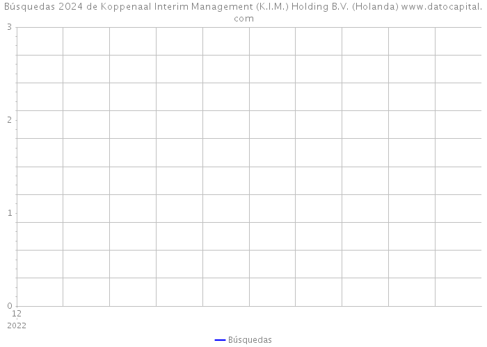 Búsquedas 2024 de Koppenaal Interim Management (K.I.M.) Holding B.V. (Holanda) 