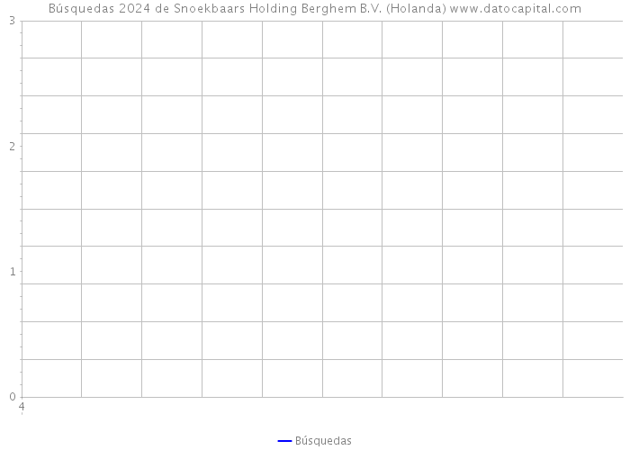 Búsquedas 2024 de Snoekbaars Holding Berghem B.V. (Holanda) 