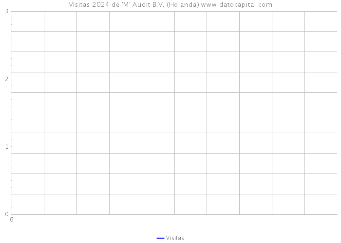 Visitas 2024 de 'M' Audit B.V. (Holanda) 