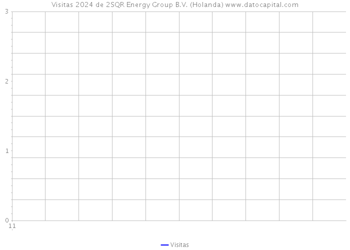 Visitas 2024 de 2SQR Energy Group B.V. (Holanda) 