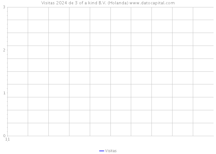 Visitas 2024 de 3 of a kind B.V. (Holanda) 