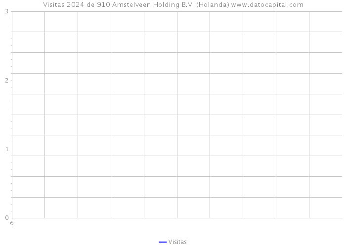 Visitas 2024 de 910 Amstelveen Holding B.V. (Holanda) 