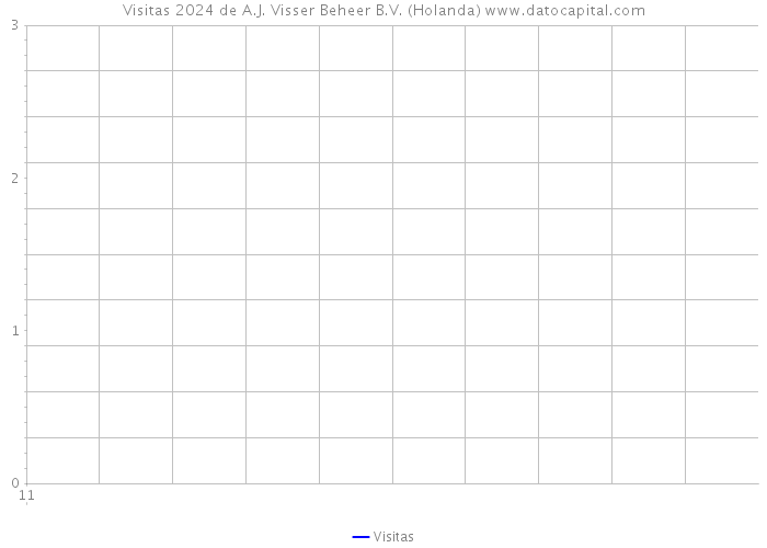 Visitas 2024 de A.J. Visser Beheer B.V. (Holanda) 