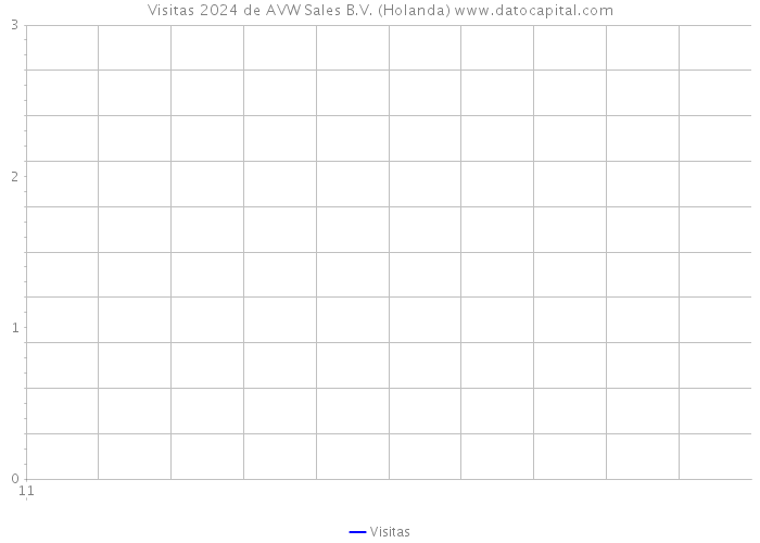 Visitas 2024 de AVW Sales B.V. (Holanda) 