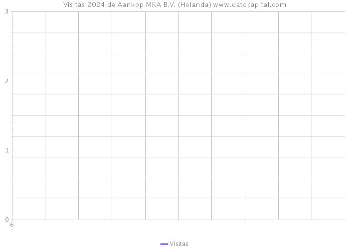 Visitas 2024 de Aankop MKA B.V. (Holanda) 