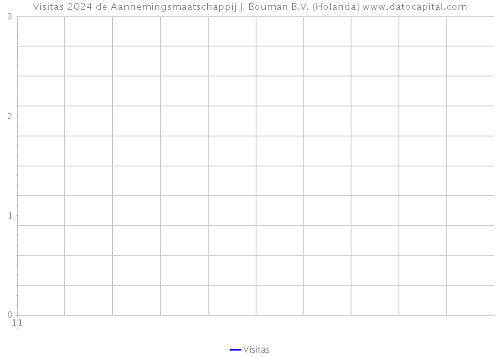 Visitas 2024 de Aannemingsmaatschappij J. Bouman B.V. (Holanda) 