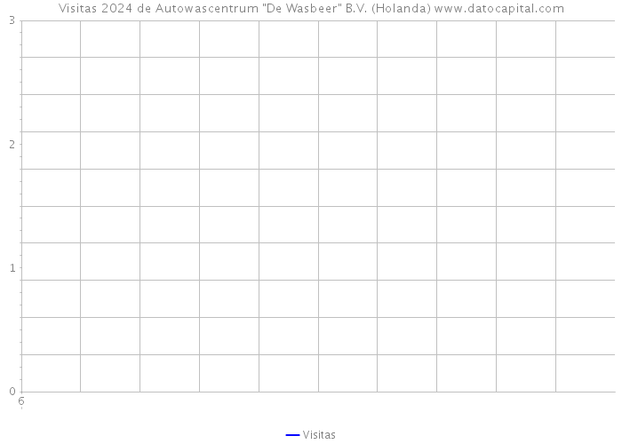 Visitas 2024 de Autowascentrum 