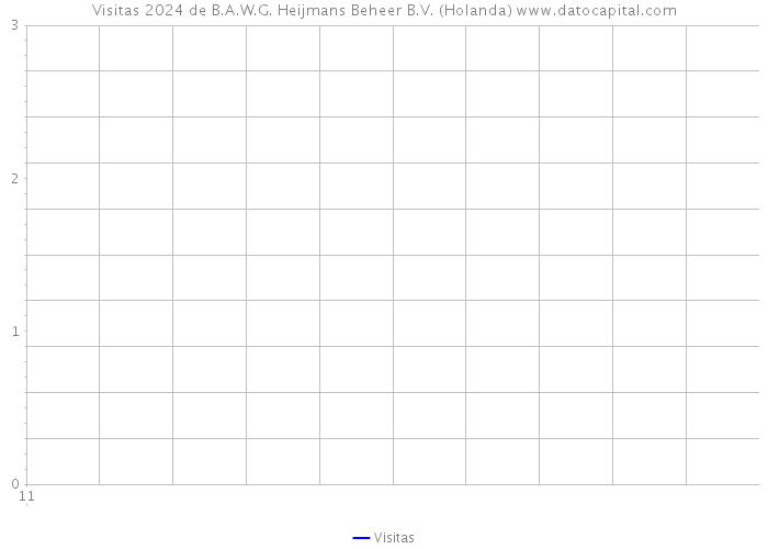 Visitas 2024 de B.A.W.G. Heijmans Beheer B.V. (Holanda) 