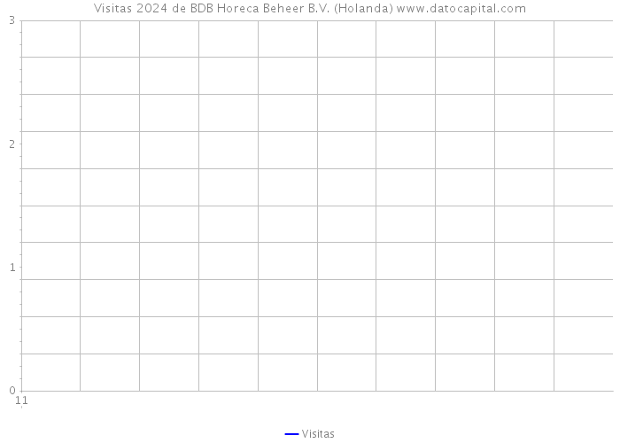 Visitas 2024 de BDB Horeca Beheer B.V. (Holanda) 