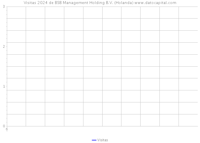 Visitas 2024 de BSB Management Holding B.V. (Holanda) 