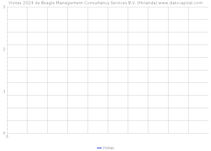 Visitas 2024 de Beagle Management Consultancy Services B.V. (Holanda) 