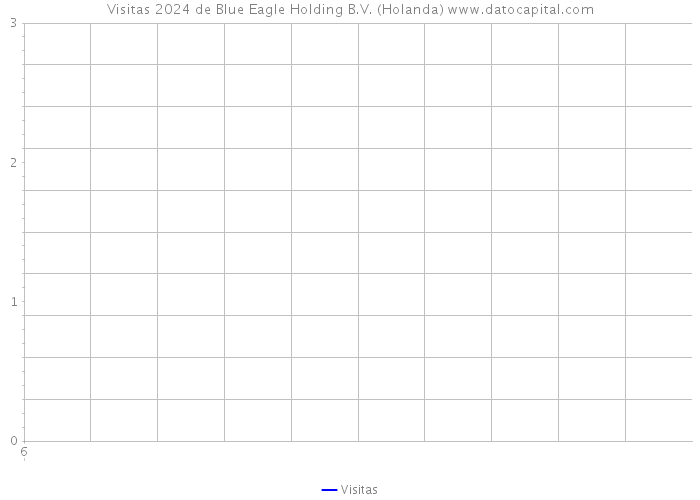 Visitas 2024 de Blue Eagle Holding B.V. (Holanda) 