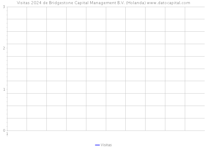 Visitas 2024 de Bridgestone Capital Management B.V. (Holanda) 