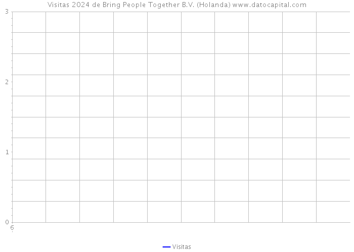 Visitas 2024 de Bring People Together B.V. (Holanda) 