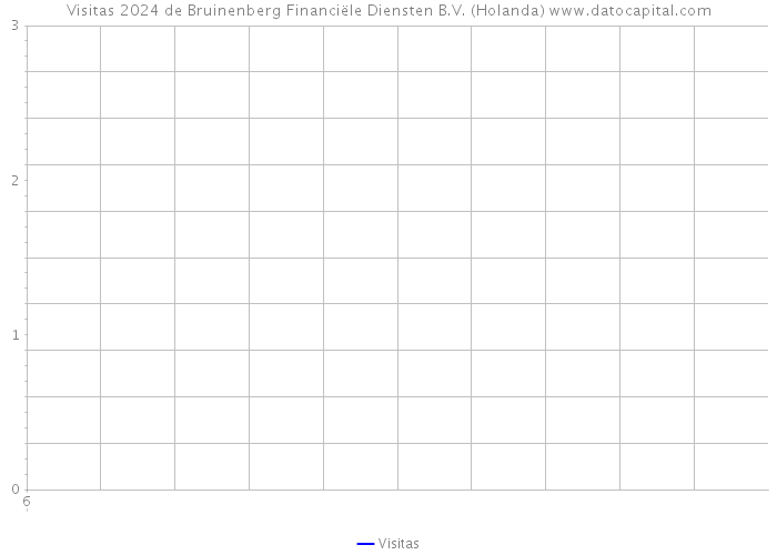 Visitas 2024 de Bruinenberg Financiële Diensten B.V. (Holanda) 