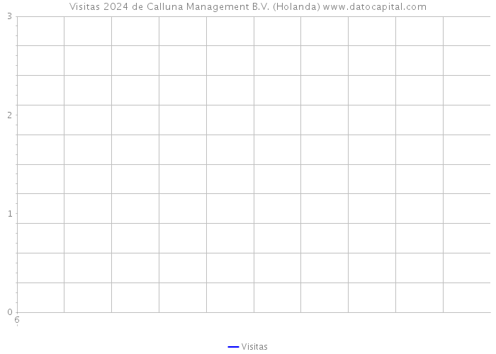 Visitas 2024 de Calluna Management B.V. (Holanda) 