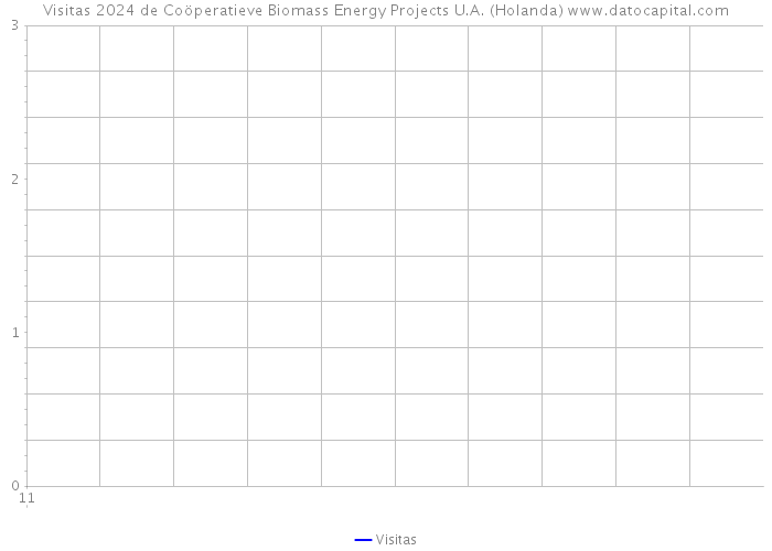 Visitas 2024 de Coöperatieve Biomass Energy Projects U.A. (Holanda) 