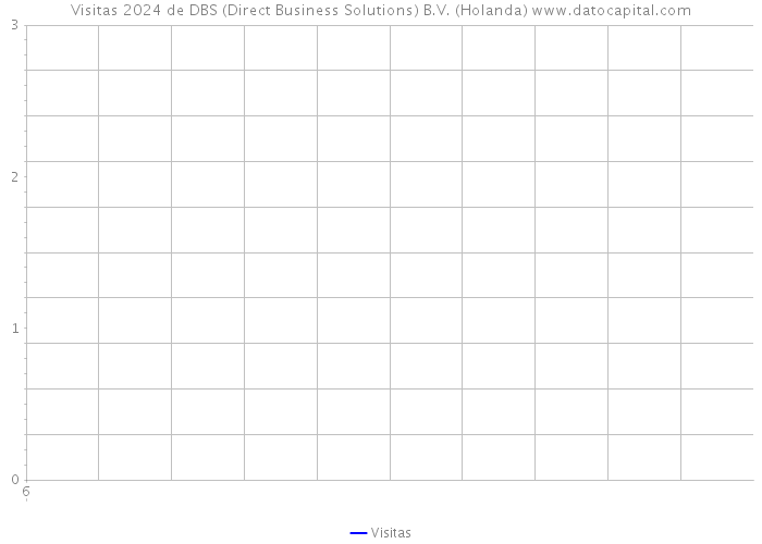 Visitas 2024 de DBS (Direct Business Solutions) B.V. (Holanda) 