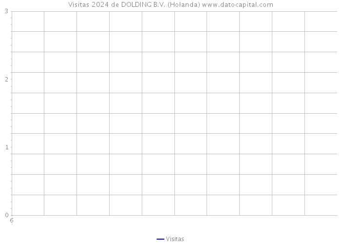 Visitas 2024 de DOLDING B.V. (Holanda) 