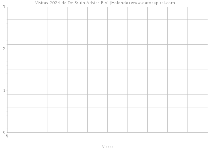 Visitas 2024 de De Bruin Advies B.V. (Holanda) 