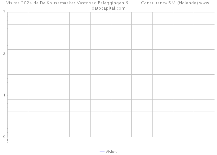 Visitas 2024 de De Kousemaeker Vastgoed Beleggingen & Consultancy B.V. (Holanda) 