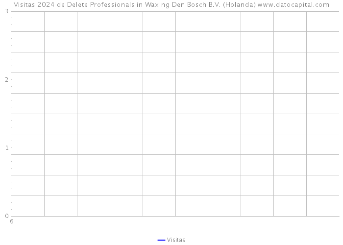 Visitas 2024 de Delete Professionals in Waxing Den Bosch B.V. (Holanda) 