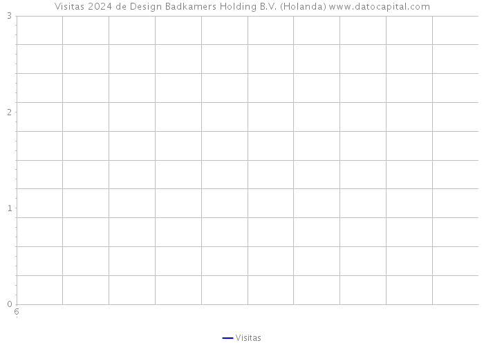 Visitas 2024 de Design Badkamers Holding B.V. (Holanda) 