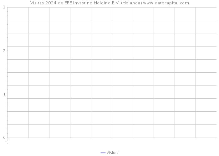Visitas 2024 de EFE Investing Holding B.V. (Holanda) 