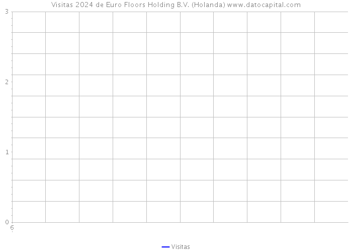 Visitas 2024 de Euro Floors Holding B.V. (Holanda) 